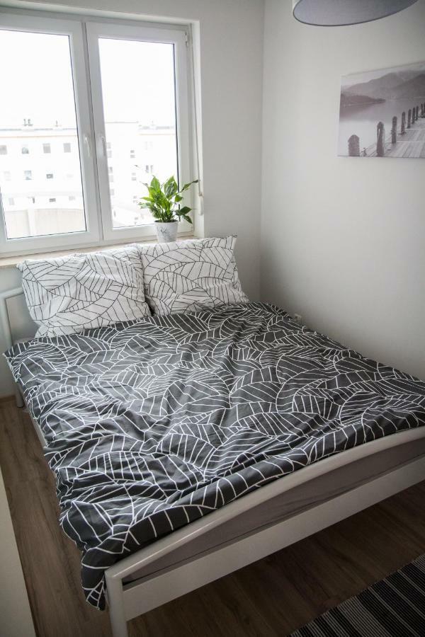Apartament F&J Stary Toruń Dış mekan fotoğraf